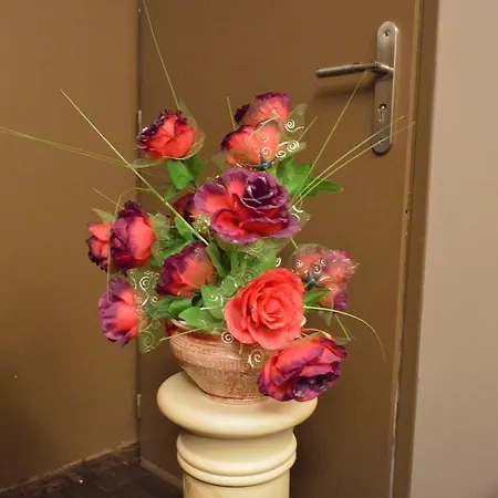 Rochire Location 2 Appartement Gérardmer