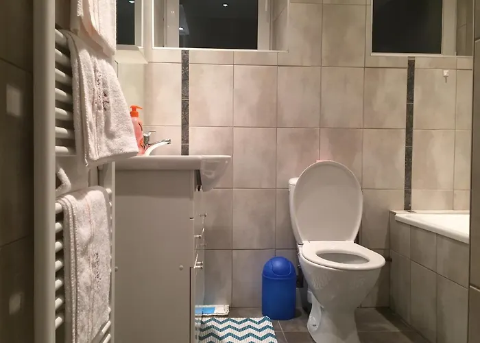 Rochire Location 2 Apartmán Gérardmer